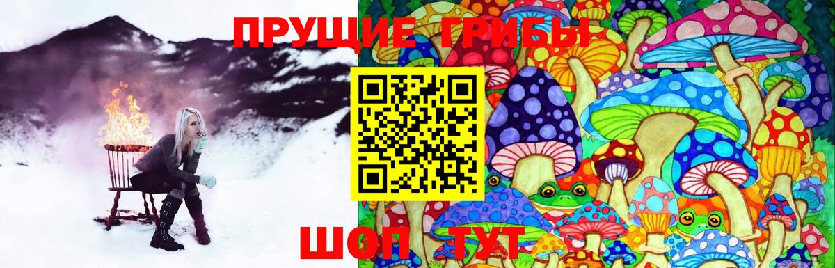 Галлюциногенные грибы Psilocybe Назрань