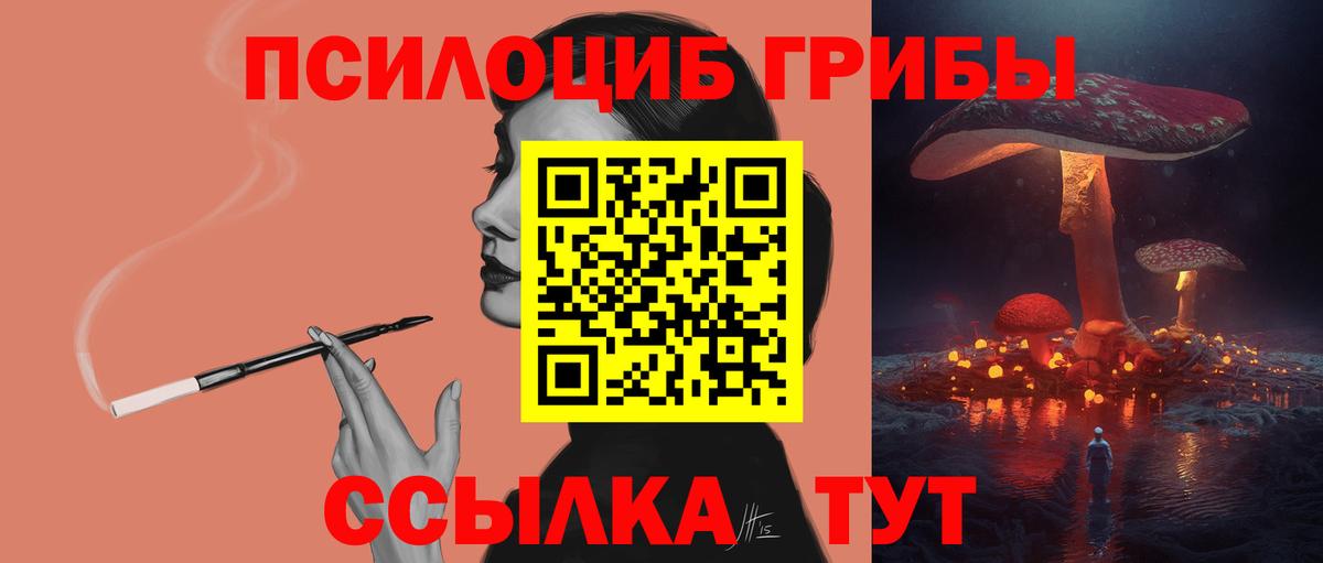 Псилоцибиновые грибы мицелий  Вход с VPN  Назрань 